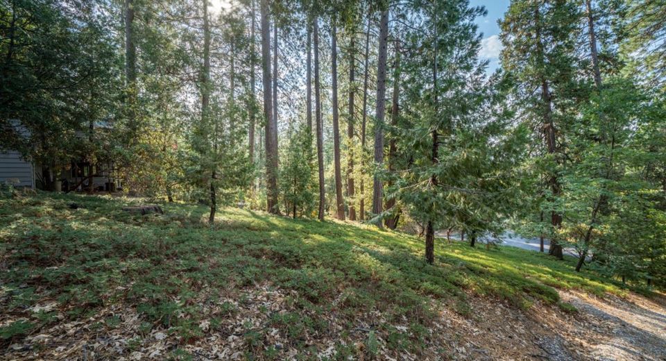 51 Canterwood Ln, Murphys, CA 95247 Photo