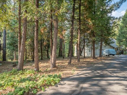 51 Canterwood Ln, Murphys, CA 95247 Photo