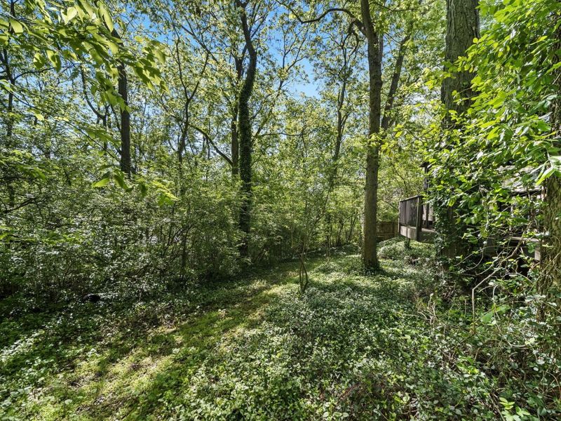 774 Loch Lomond Lane, Columbus, OH 43085 Photo 55