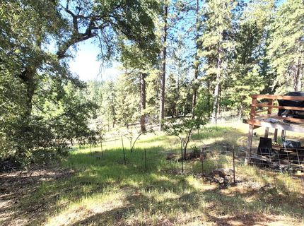 25750 Aspen Ct, Volcano, CA 95689 Photo