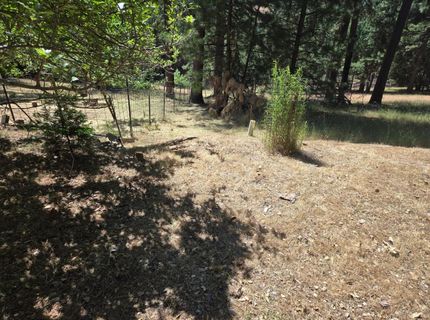25750 Aspen Ct, Volcano, CA 95689 Photo