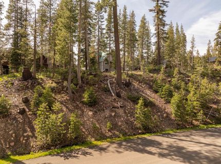 7227 Palisade Rd, Soda Springs, CA 95728 Photo