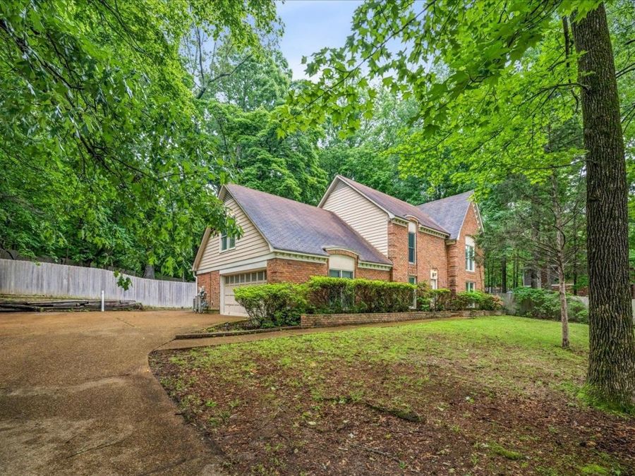 Property Image 6