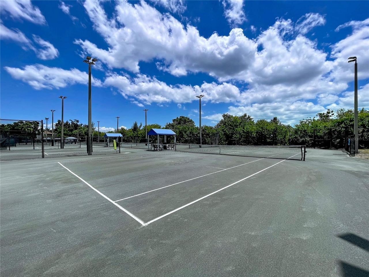 4651 1st Street Ne, Unit 311, Saint Petersburg, FL 33703 Photo