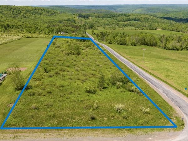 Wahlberg Road, Guilford, NY 13780