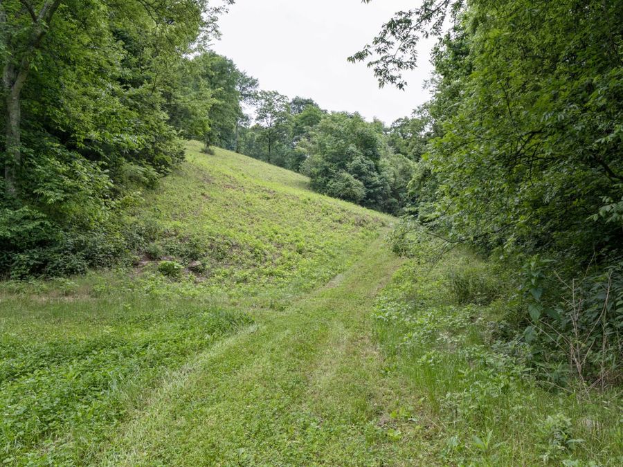 Property Image 38