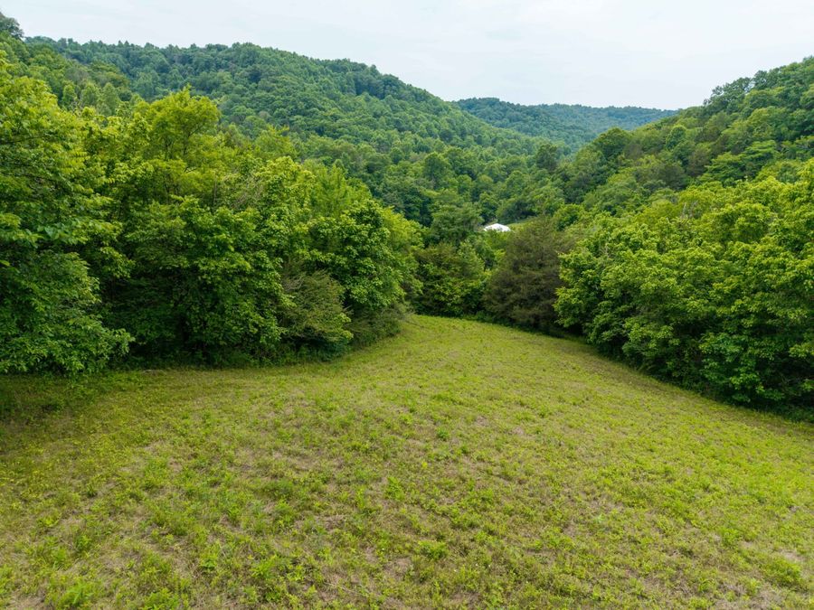 Property Image 45