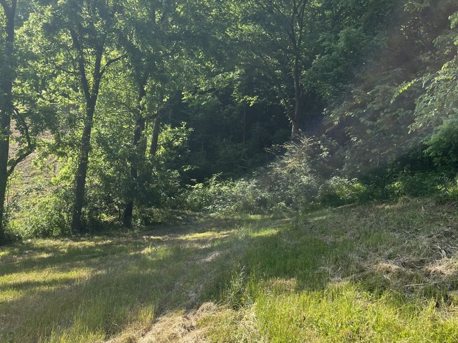 Property Image 61