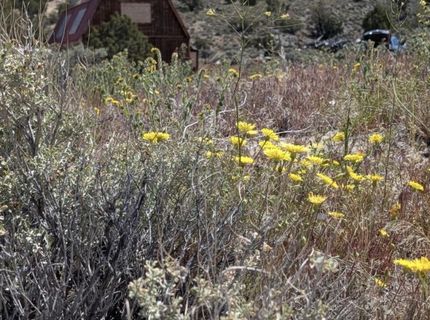0 Peak Road, Lot #1-2-3, Reno, NV 89510 Photo