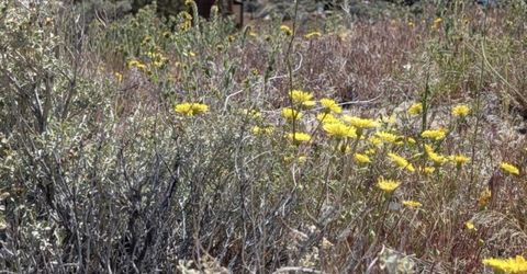 0 Peak Road, Lot #1-2-3, Reno, NV 89510 Photo