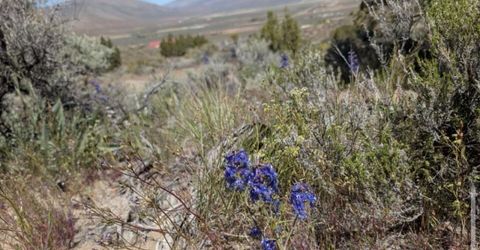 0 Peak Road, Lot #1-2-3, Reno, NV 89510 Photo
