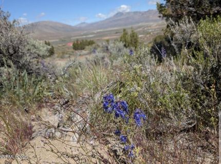 0 Peak Road, Lot #1-2-3, Reno, NV 89510 Photo