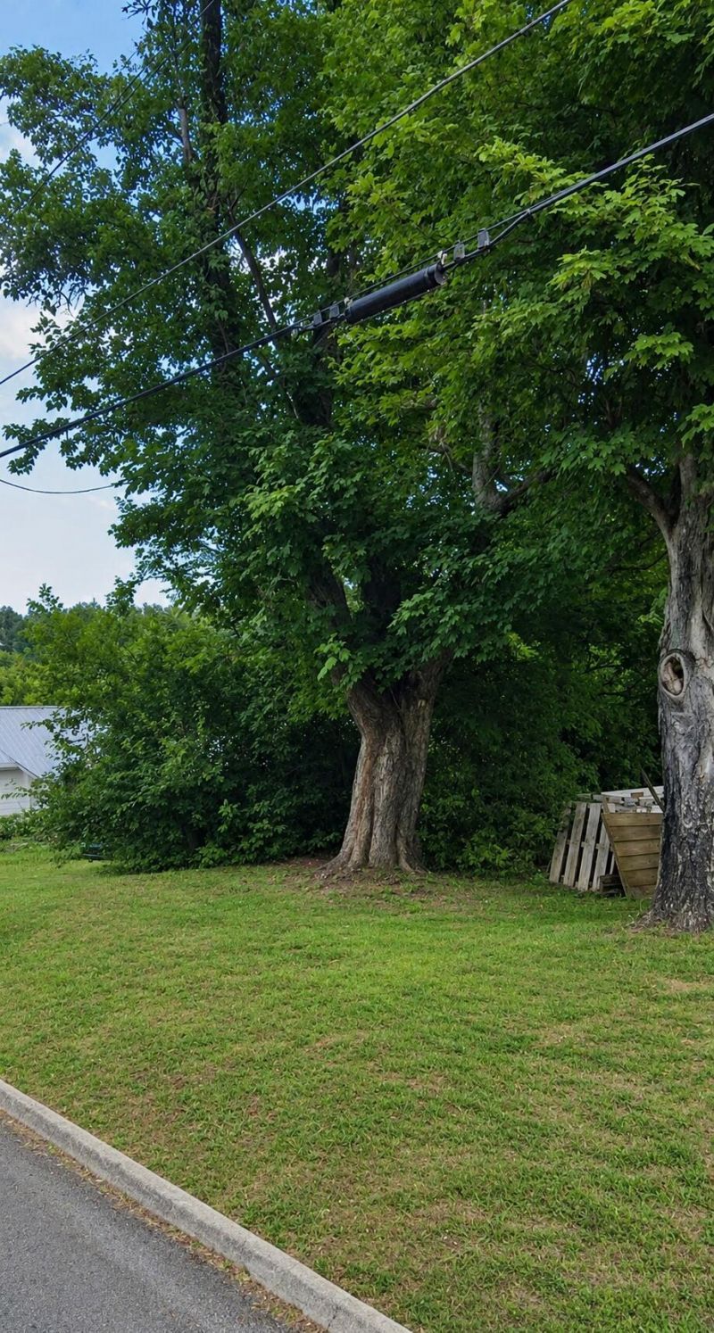 233 Blair Street, Morristown, TN 37814 Main Photo