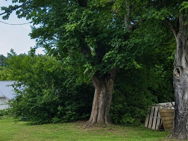 233 Blair Street, Morristown, TN 37814