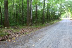 0 Branch Road photo 4