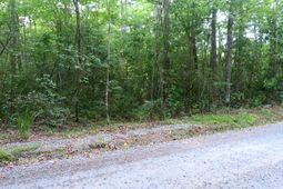 0 Branch Road photo 4