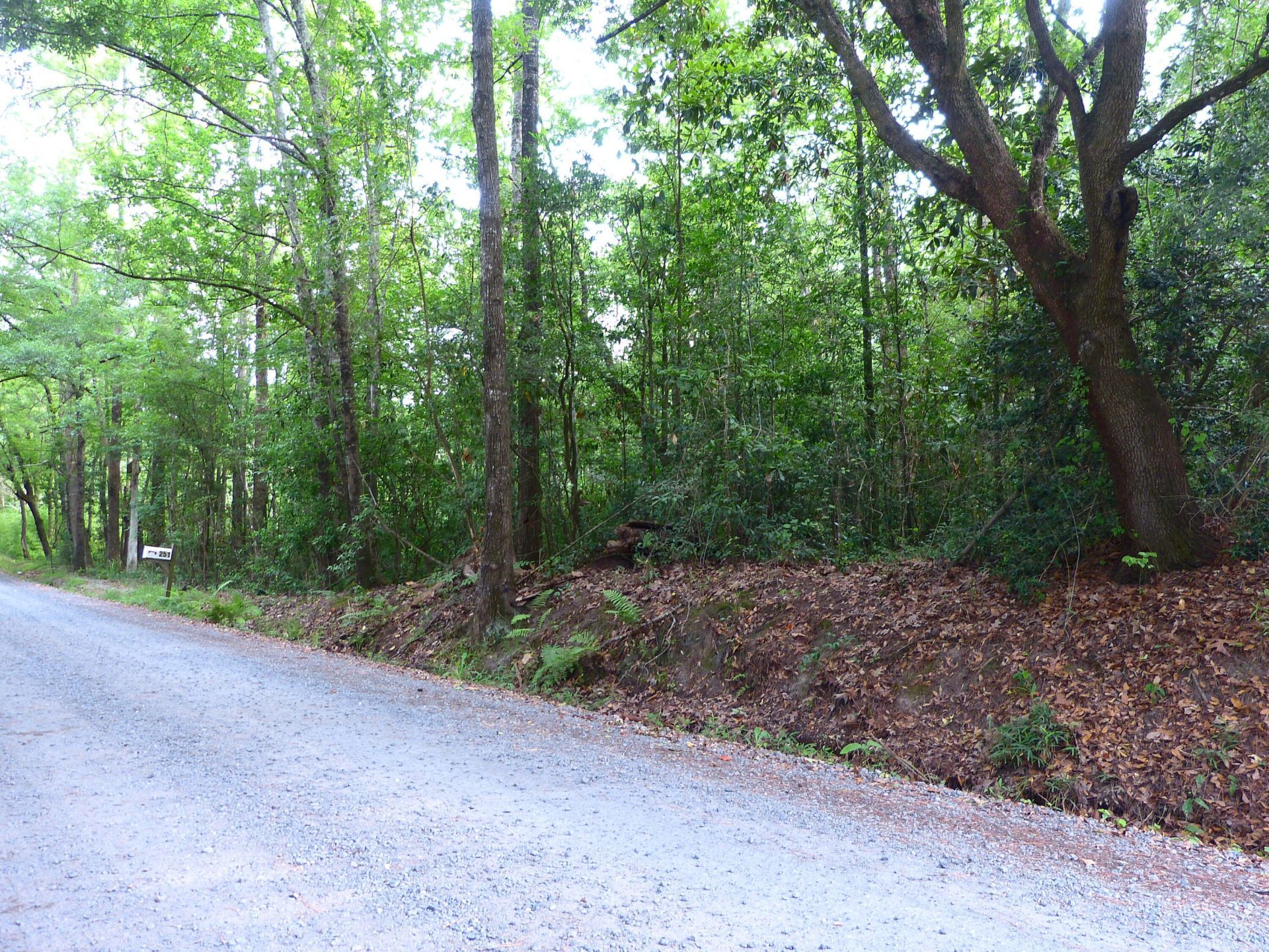 0 Branch Road Photo 4