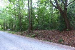 0 Branch Road photo 4