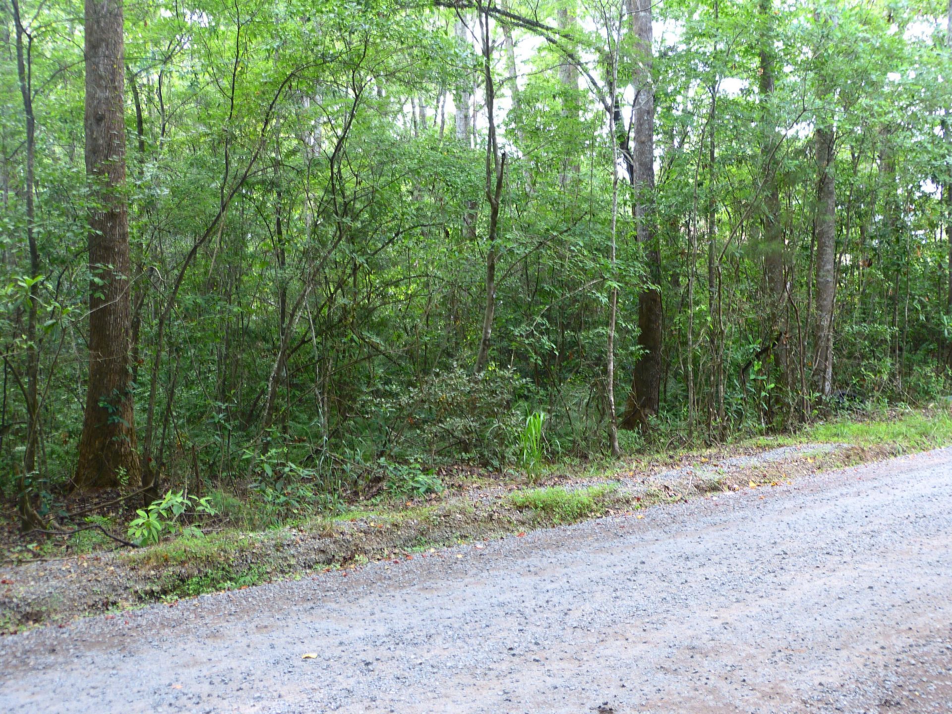 0 Branch Road Photo 5