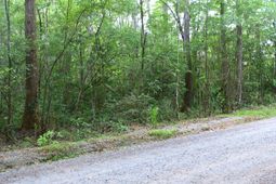 0 Branch Road photo 4