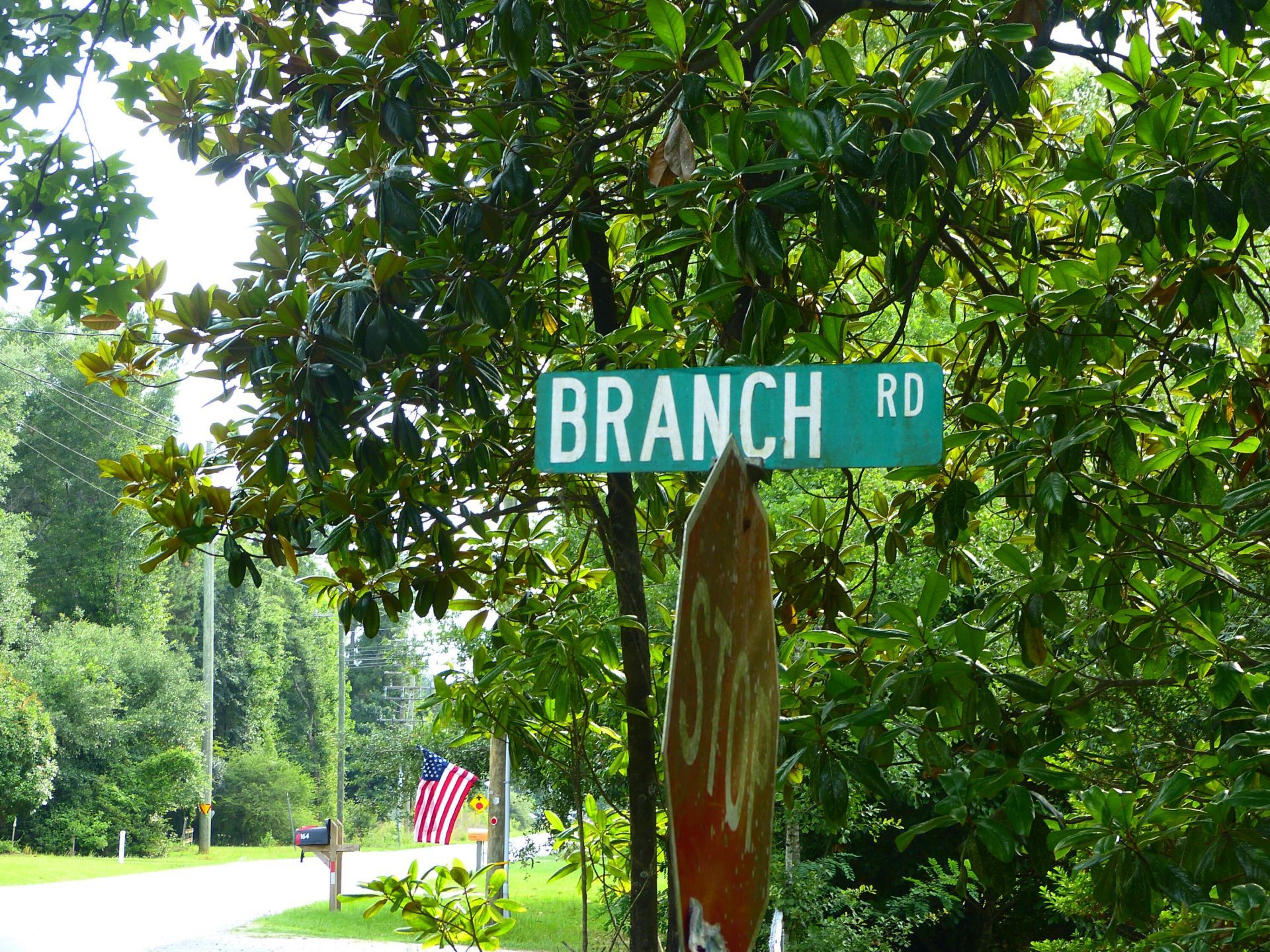 0 Branch Road Photo 6