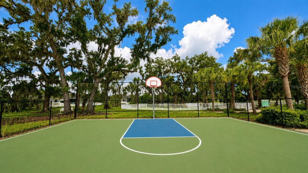 4520 Deep Creek Terrace , Parrish, FL 34219 Photo