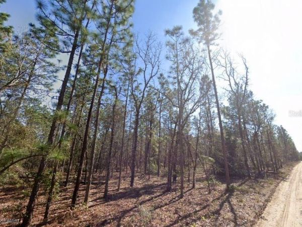 HILLS ROAD , MELROSE, FL 32666