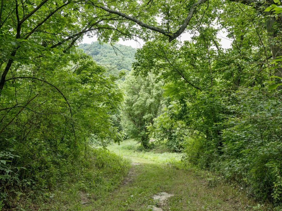 Property Image 52