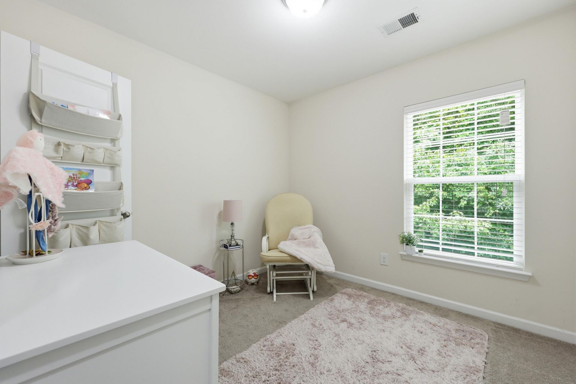 1071 Lexi Court Photo 17
