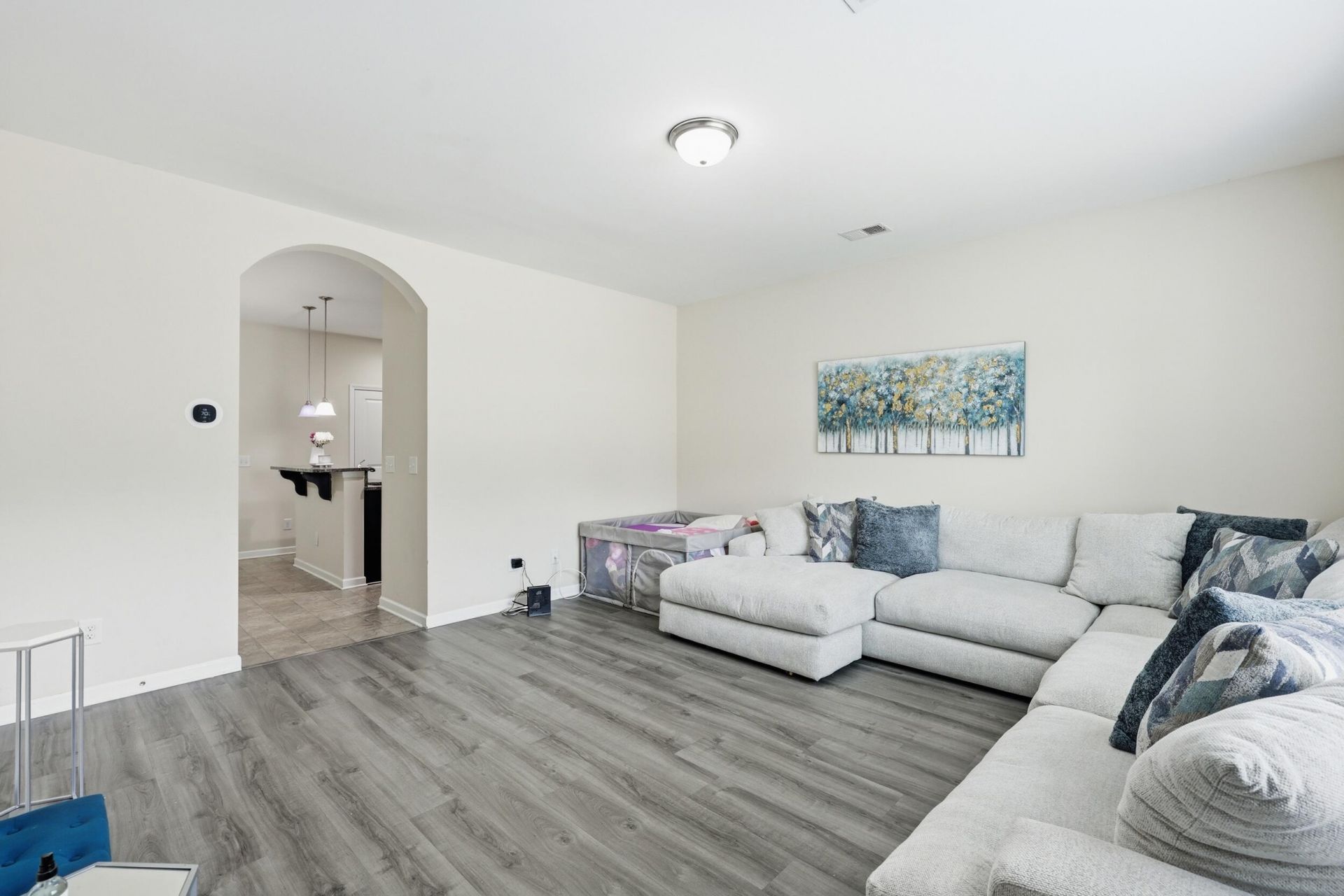 1071 Lexi Court Photo 4