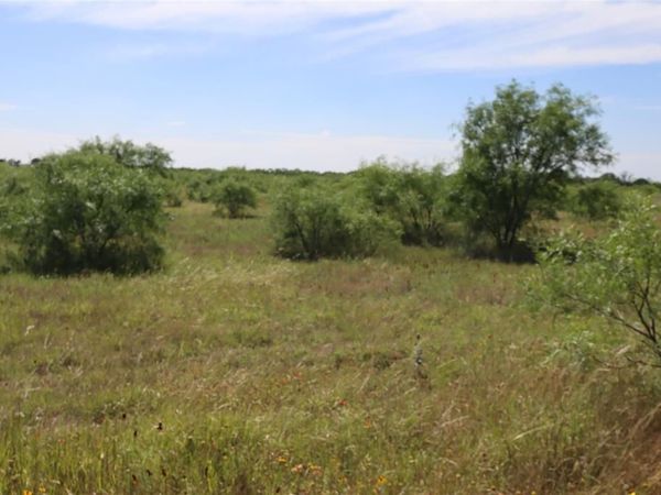 807 County Road 215 , Rising Star, TX 76471