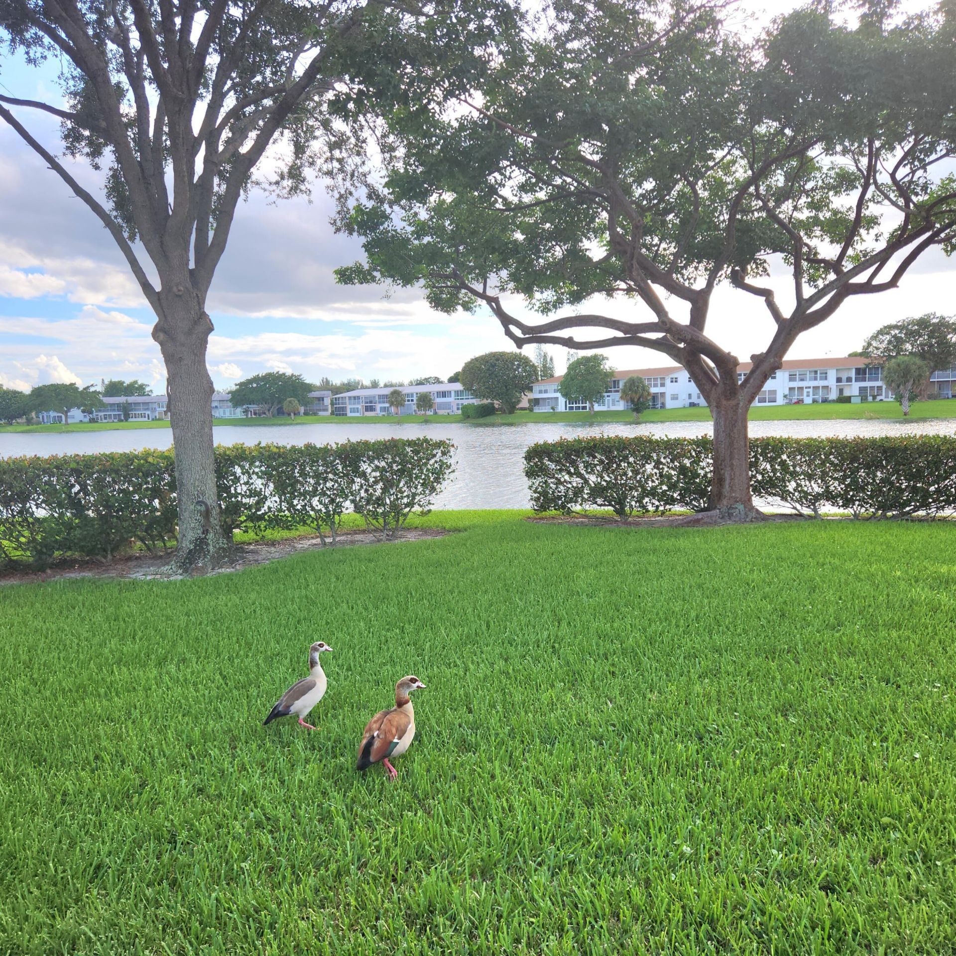 219 Coventry, Unit J, West Palm Beach, FL 33417 Photo
