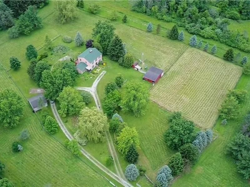 7950 Coon Club Road, Medina, OH 44256 Photo 1