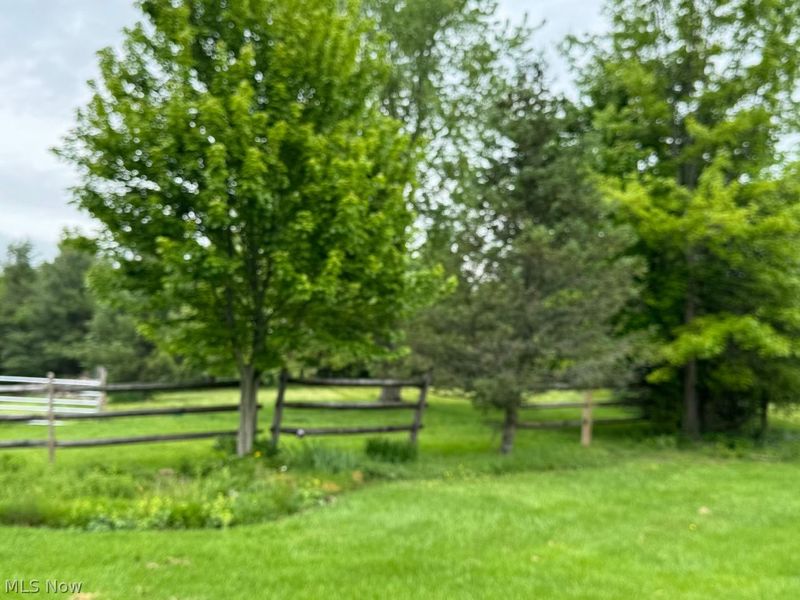 7950 Coon Club Road, Medina, OH 44256 Photo 24