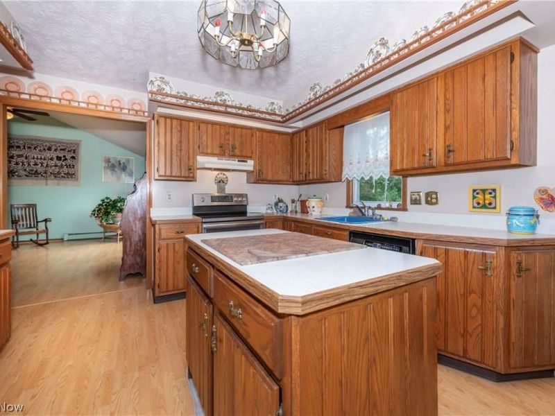 7950 Coon Club Road, Medina, OH 44256 Photo 25