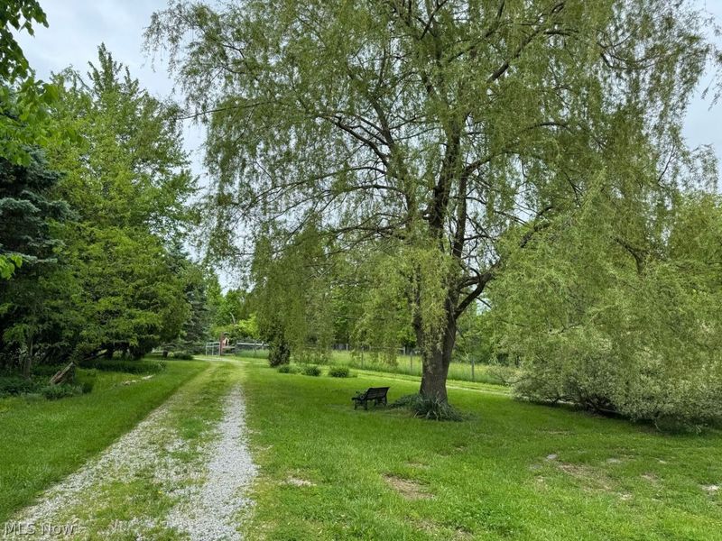 7950 Coon Club Road, Medina, OH 44256 Photo 26