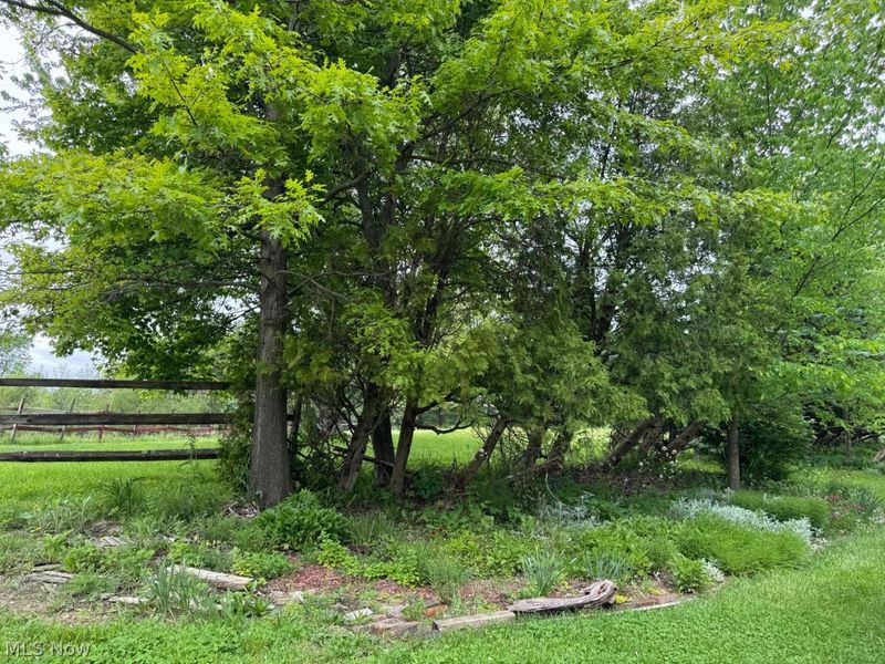 7950 Coon Club Road, Medina, OH 44256 Photo 27