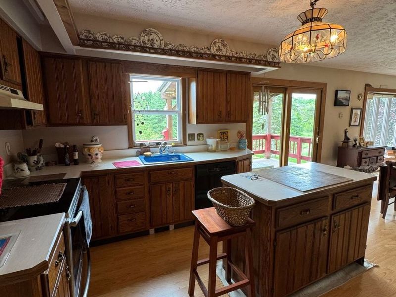 7950 Coon Club Road, Medina, OH 44256 Photo 3