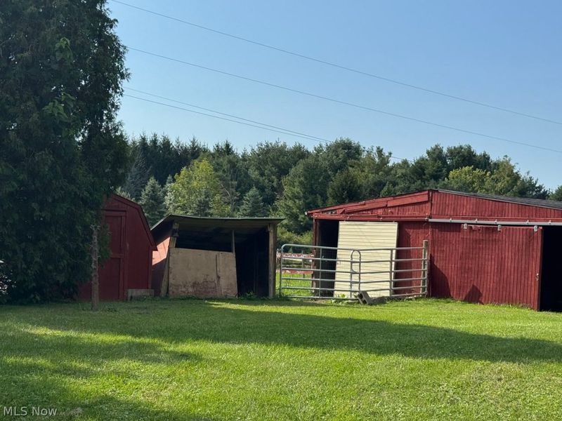7950 Coon Club Road, Medina, OH 44256 Photo 44