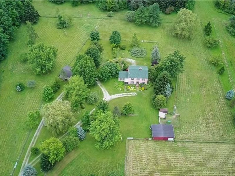 7950 Coon Club Road, Medina, OH 44256 Photo 6
