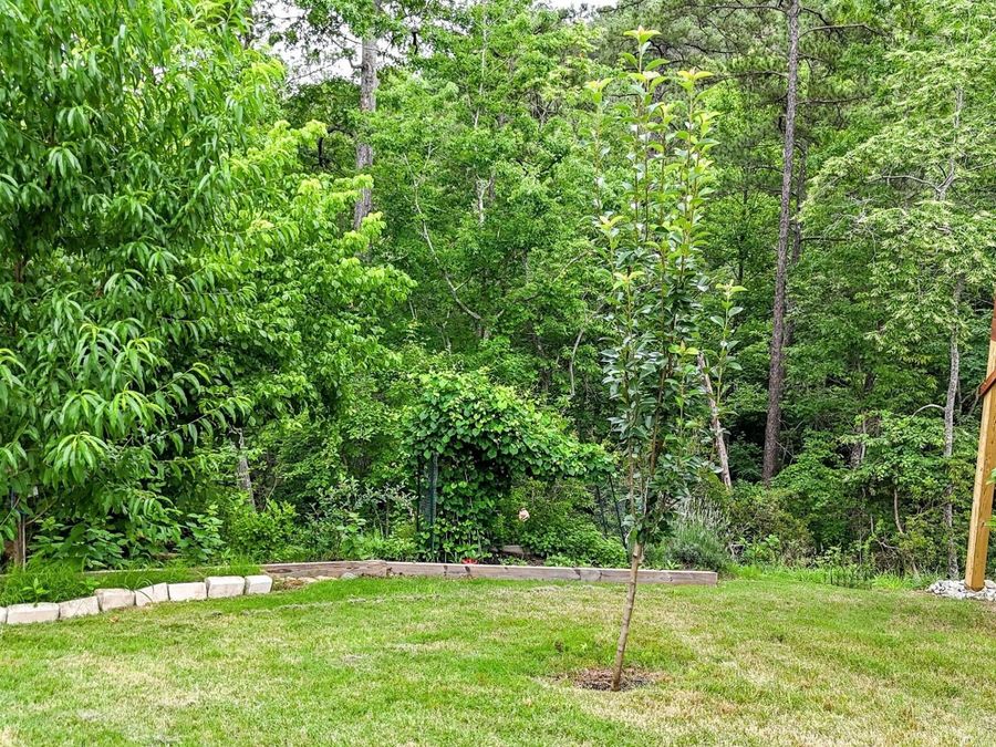 Property Image 46