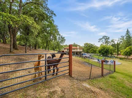 3340 Garden Bar Rd, Lincoln, CA 95648 Photo