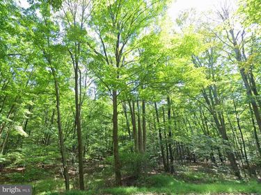 00 JUNIATA VALLEY , HOLLIDAYSBURG, PA 16648