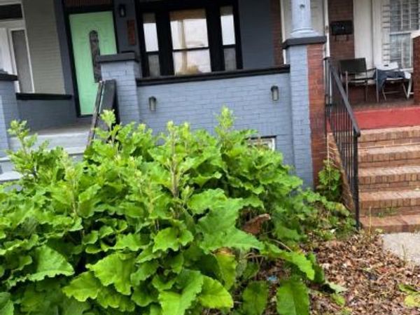 1156 N LONGWOOD STREET , BALTIMORE, MD 21216