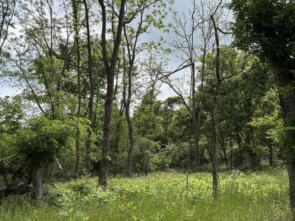 0 Grubb Rd, Lenoir City, TN 37771