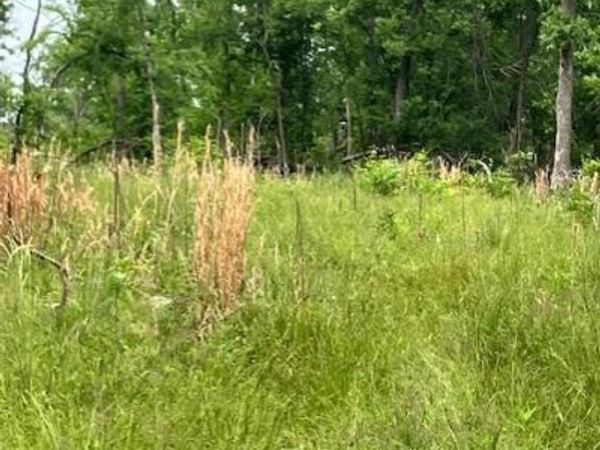 235 Madison CR 410 , Fredericktown, MO 63645