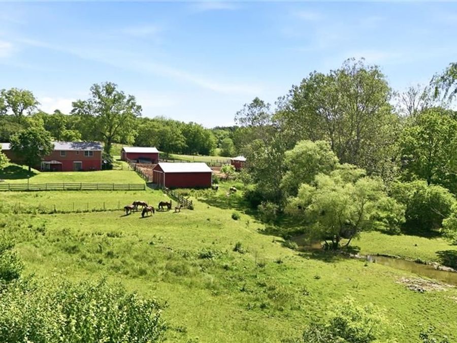 Property Image 50