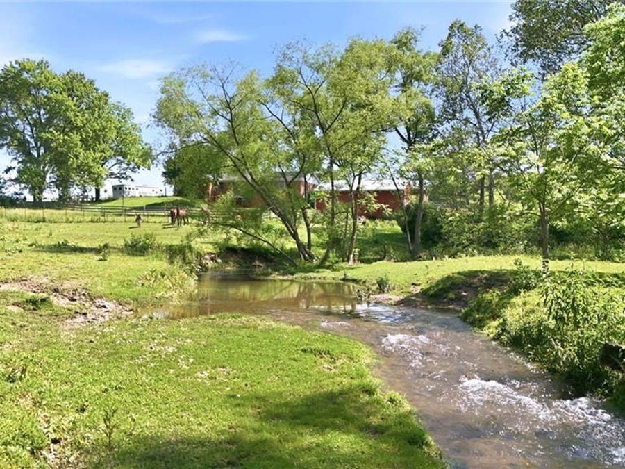 Property Image 64