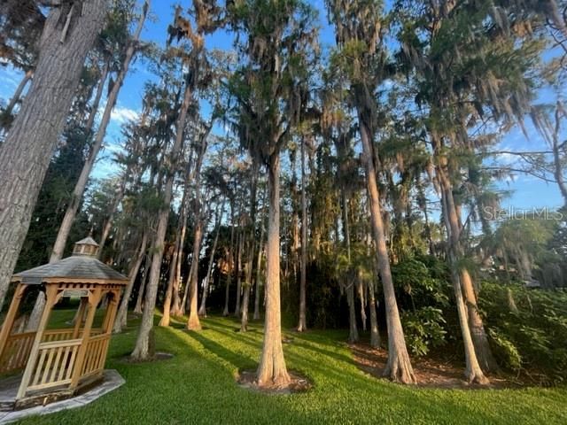9616 Midiron Court, New Port Richey, FL 34655 Photo