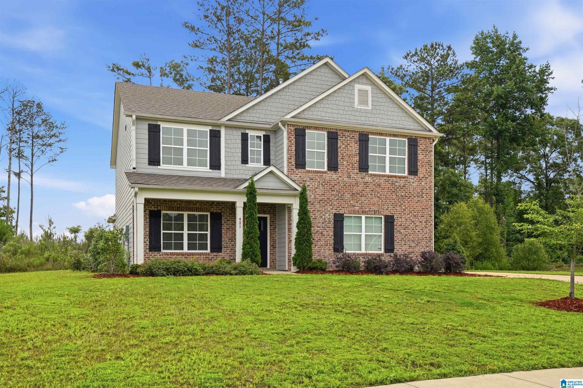 421 Rock Terrace Drive, Helena, AL 35080 Main Photo